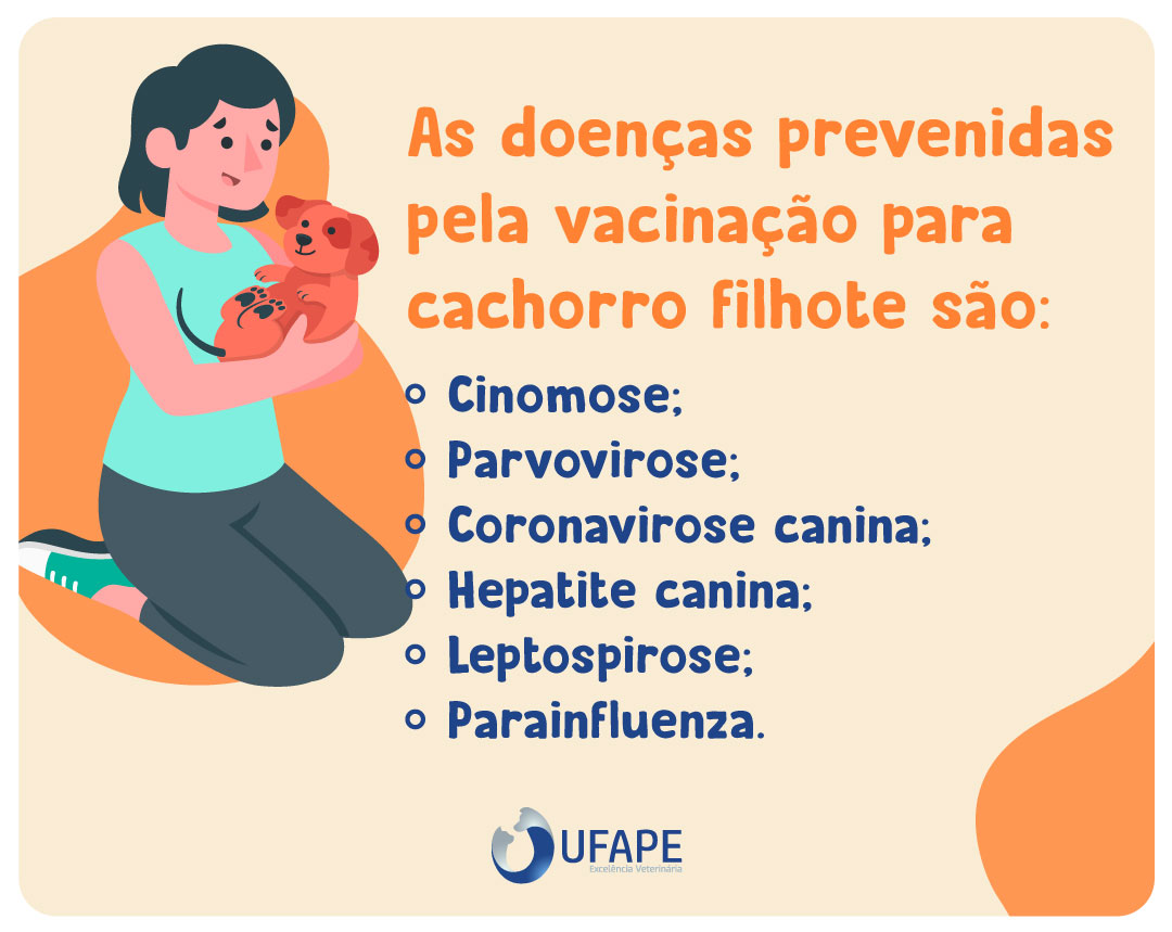 A propósito, as doenças prevenidas pela vacinação para cachorro filhote são:

- Cinomose;

- Parvovirose;

- Coronavirose canina;

- Hepatite canina;

- Leptospirose;

- Parainfluenza.