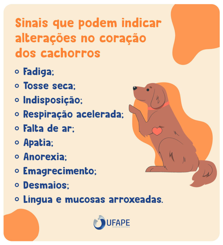 Alguns sinais que podem indicar alterações no coração dos cachorros são: Fadiga; Tosse seca; Indisposição; Respiração acelerada; Falta de ar; Apatia; Anorexia; Emagrecimento; Desmaios; Língua e mucosas arroxeadas.