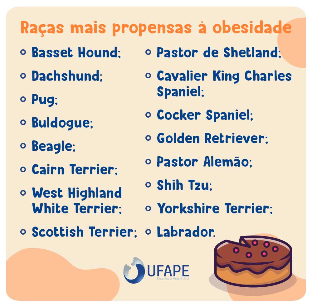 Raças mais propensas à obesidade: Basset Hound; Dachshund; Pug; Buldogue; Beagle; Cairn Terrier; West Highland White Terrier; Scottish Terrier; Pastor de Shetland; Cavalier King Charles Spaniel; Cocker Spaniel; Golden Retriever; Pastor Alemão; Shih Tzu; Yorkshire Terrier; Labrador. 