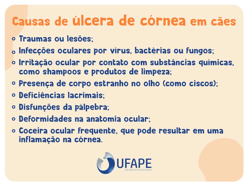 Quais são as causas de úlcera de córnea em cães? As causas de uma úlcera de córnea em cães são diversas. Dentre elas, é possível pontuar algumas, como: - Traumas ou lesões; - Infecções oculares por vírus, bactérias ou fungos; - Irritação ocular por contato com substâncias químicas, como shampoos e produtos de limpeza; - Presença de corpo estranho no olho (como ciscos); - Deficiências lacrimais; - Disfunções da pálpebra; - Deformidades na anatomia ocular; - Coceira ocular frequente, que pode resultar em uma inflamação na córnea. 