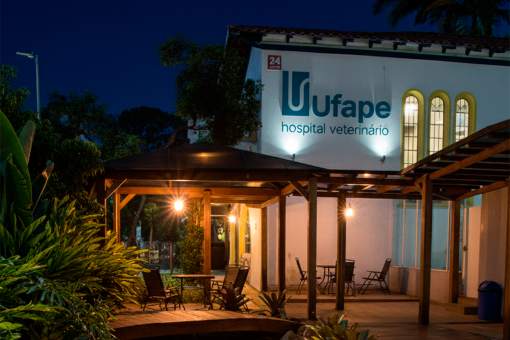 Atendimento Veterinário Noturno 