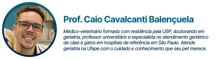 Professor Caio Cavalcanti Balençuela