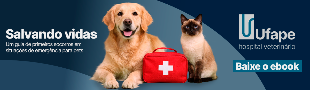 Salvando VIdas - Ebook primeiros socorros