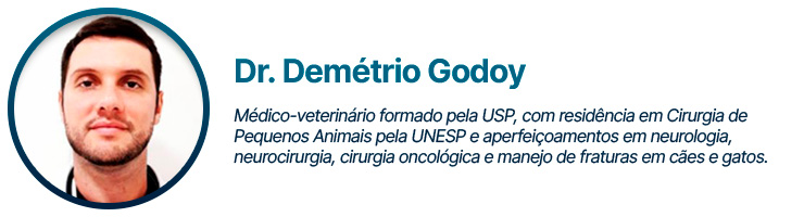 Assinatura Dr. Demétrio Godoy